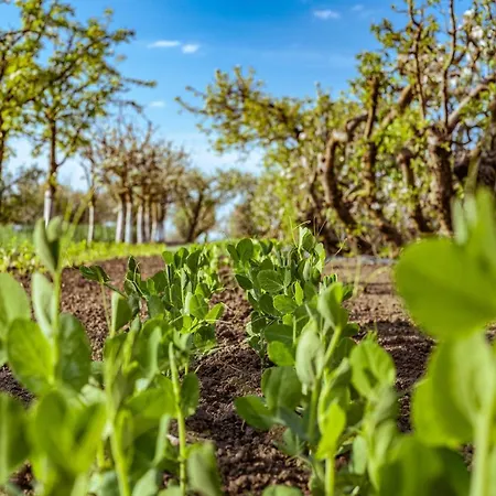 Bed and breakfast Hercegasszony Birtok 4*