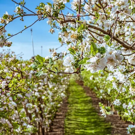 Bed and breakfast Hercegasszony Birtok 4*