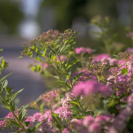 Hercegasszony Birtok Mezotur