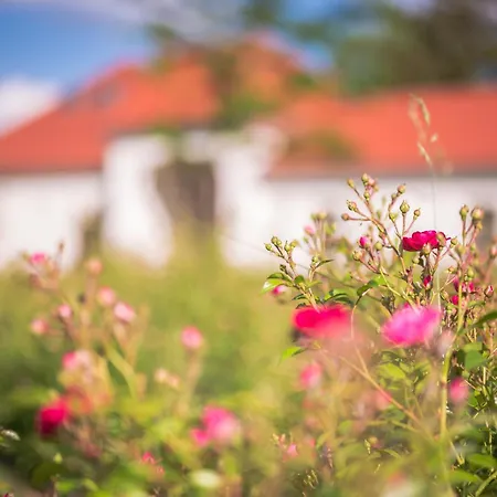 Hercegasszony Birtok 4* Mezotur