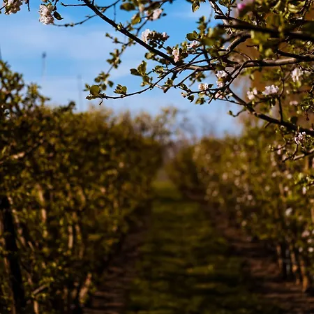 Hercegasszony Birtok Bed and breakfast 4*