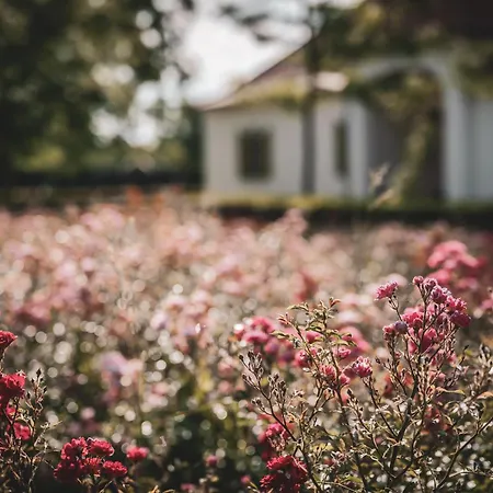 Hercegasszony Birtok