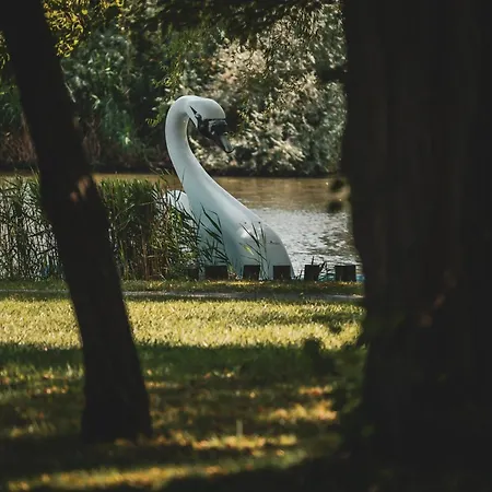 Panzió Hercegasszony Birtok Mezotur